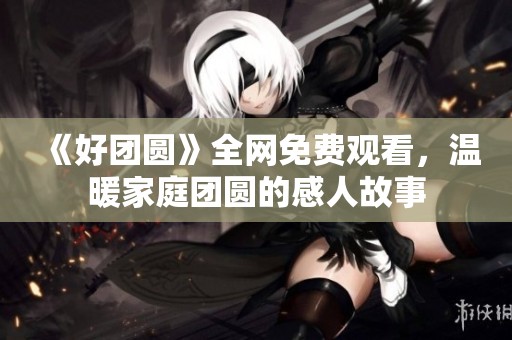 《好团圆》全网免费观看，温暖家庭团圆的感人故事