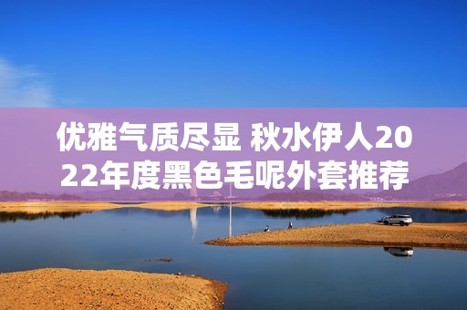 优雅气质尽显 秋水伊人2022年度黑色毛呢外套推荐