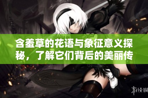 含羞草的花语与象征意义探秘，了解它们背后的美丽传说