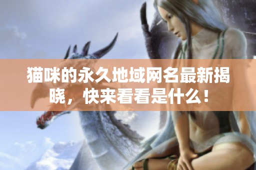 猫咪的永久地域网名最新揭晓，快来看看是什么！