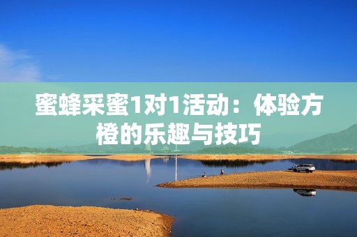 蜜蜂采蜜1对1活动：体验方橙的乐趣与技巧