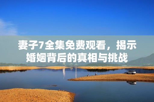 妻子7全集免费观看，揭示婚姻背后的真相与挑战
