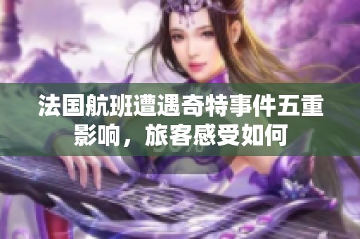 法国航班遭遇奇特事件五重影响，旅客感受如何