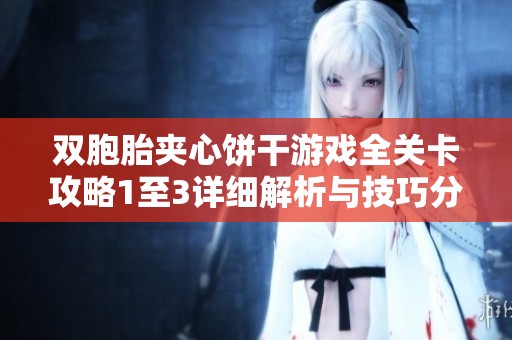 双胞胎夹心饼干游戏全关卡攻略1至3详细解析与技巧分享