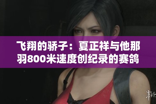 飞翔的骄子：夏正祥与他那羽800米速度创纪录的赛鸽传奇故事
