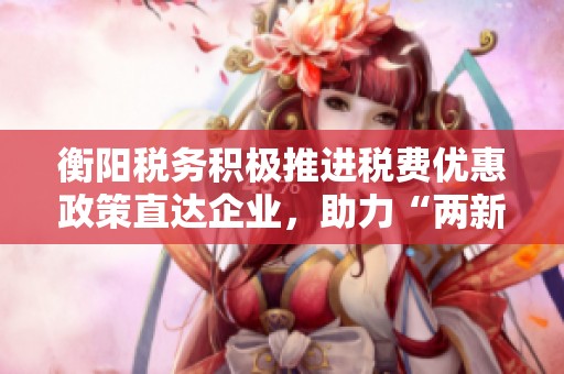 衡阳税务积极推进税费优惠政策直达企业，助力“两新”政策落实加速发展