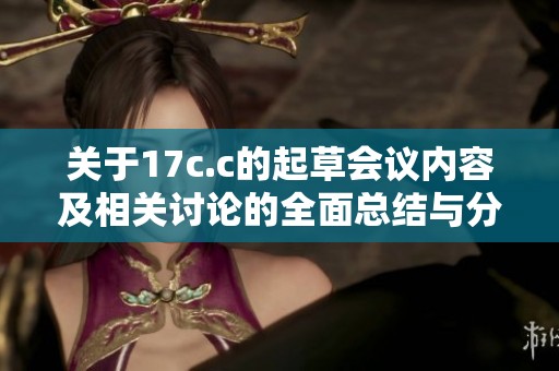 关于17c.c的起草会议内容及相关讨论的全面总结与分析