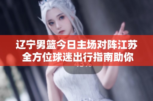 辽宁男篮今日主场对阵江苏 全方位球迷出行指南助你畅享精彩赛事
