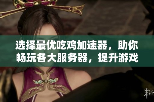 选择最优吃鸡加速器，助你畅玩各大服务器，提升游戏体验的终极攻略解析