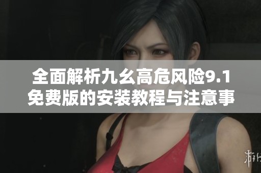 全面解析九幺高危风险9.1免费版的安装教程与注意事项