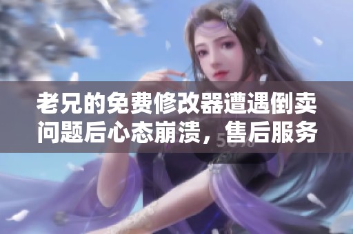 老兄的免费修改器遭遇倒卖问题后心态崩溃，售后服务成了新挑战