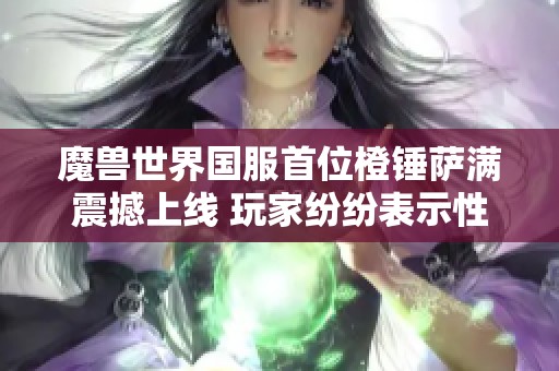 魔兽世界国服首位橙锤萨满震撼上线 玩家纷纷表示性价比太低失望不已