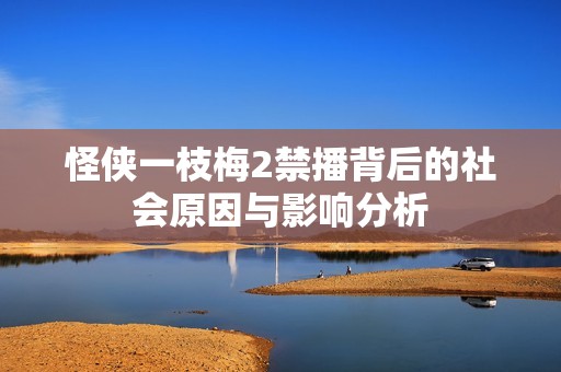 怪侠一枝梅2禁播背后的社会原因与影响分析