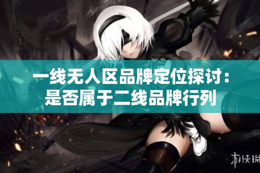 一线无人区品牌定位探讨：是否属于二线品牌行列