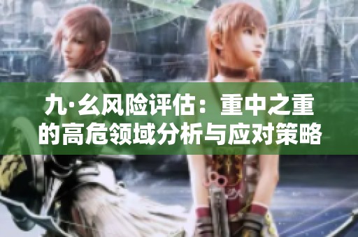 九·幺风险评估：重中之重的高危领域分析与应对策略
