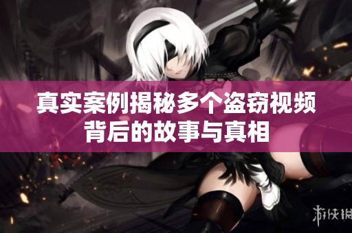 真实案例揭秘多个盗窃视频背后的故事与真相