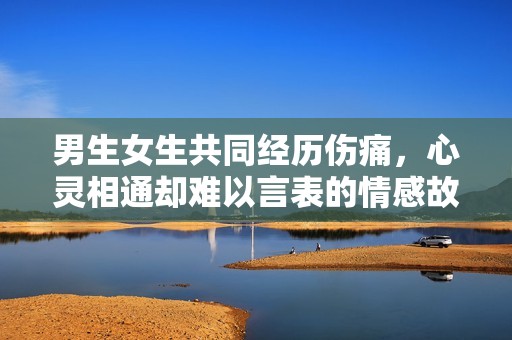 男生女生共同经历伤痛，心灵相通却难以言表的情感故事