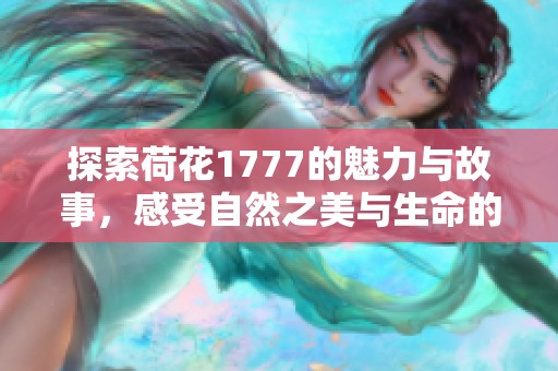 探索荷花1777的魅力与故事，感受自然之美与生命的哲学
