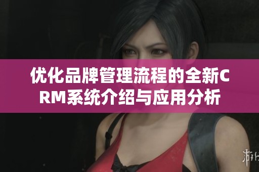 优化品牌管理流程的全新CRM系统介绍与应用分析