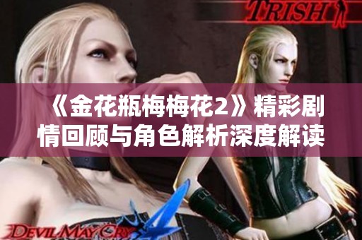 《金花瓶梅梅花2》精彩剧情回顾与角色解析深度解读