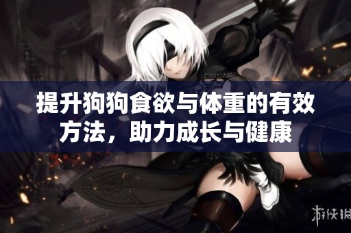 提升狗狗食欲与体重的有效方法，助力成长与健康