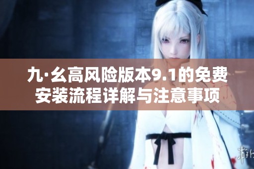 九·幺高风险版本9.1的免费安装流程详解与注意事项