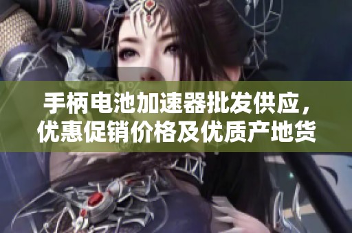 手柄电池加速器批发供应，优惠促销价格及优质产地货源一站式服务