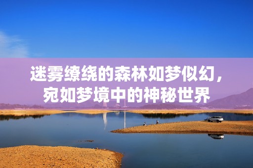 迷雾缭绕的森林如梦似幻，宛如梦境中的神秘世界