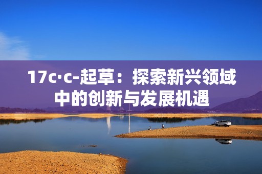 17c·c-起草：探索新兴领域中的创新与发展机遇