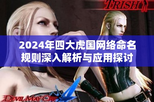 2024年四大虎国网络命名规则深入解析与应用探讨