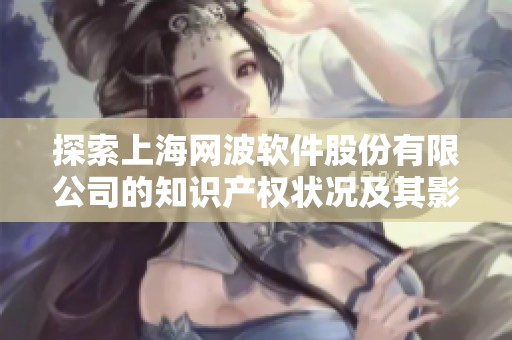 探索上海网波软件股份有限公司的知识产权状况及其影响分析