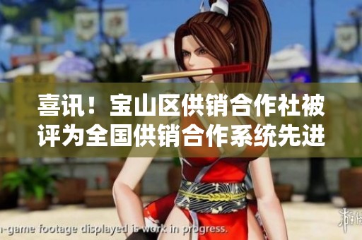 喜讯！宝山区供销合作社被评为全国供销合作系统先进集体荣耀殊荣