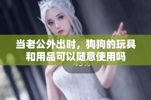 当老公外出时，狗狗的玩具和用品可以随意使用吗