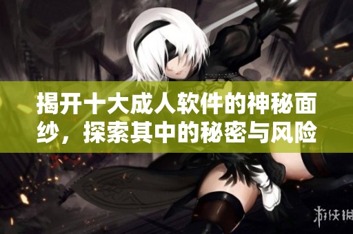 揭开十大成人软件的神秘面纱，探索其中的秘密与风险