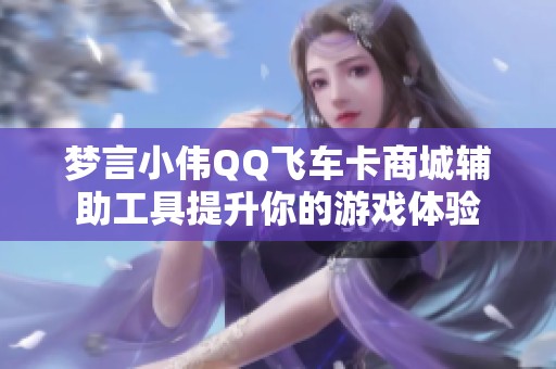 梦言小伟QQ飞车卡商城辅助工具提升你的游戏体验