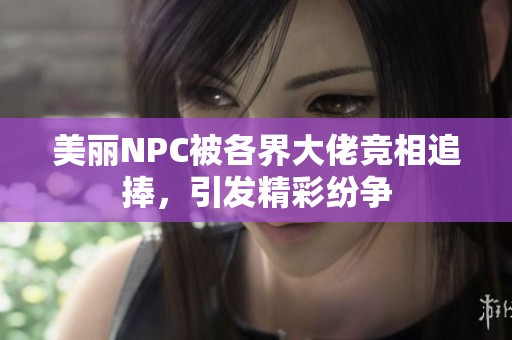 美丽NPC被各界大佬竞相追捧，引发精彩纷争