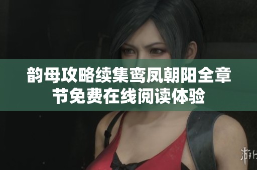 韵母攻略续集鸾凤朝阳全章节免费在线阅读体验
