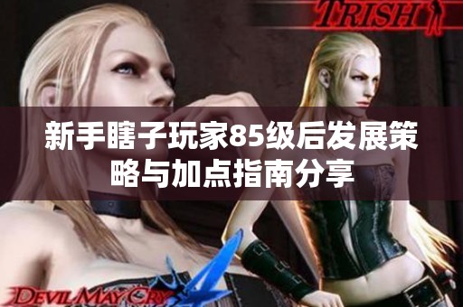 新手瞎子玩家85级后发展策略与加点指南分享