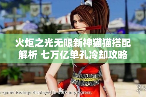 火炬之光无限新神猫猫搭配解析 七万亿单孔冷却攻略揭秘