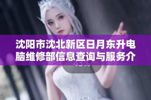 沈阳市沈北新区日月东升电脑维修部信息查询与服务介绍