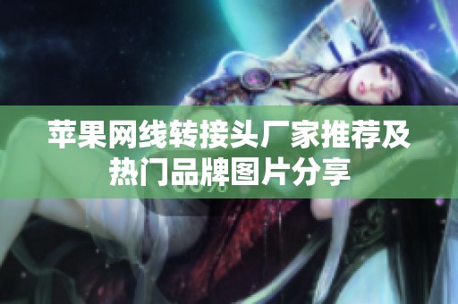 苹果网线转接头厂家推荐及热门品牌图片分享