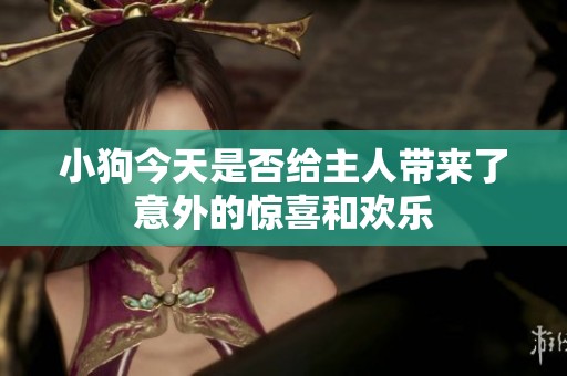 小狗今天是否给主人带来了意外的惊喜和欢乐