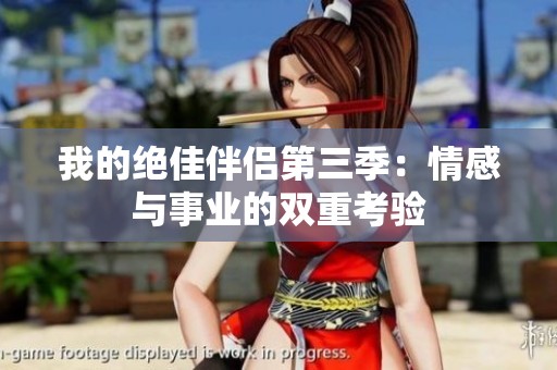我的绝佳伴侣第三季：情感与事业的双重考验