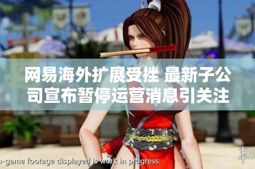 网易海外扩展受挫 最新子公司宣布暂停运营消息引关注