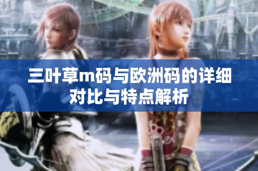三叶草m码与欧洲码的详细对比与特点解析