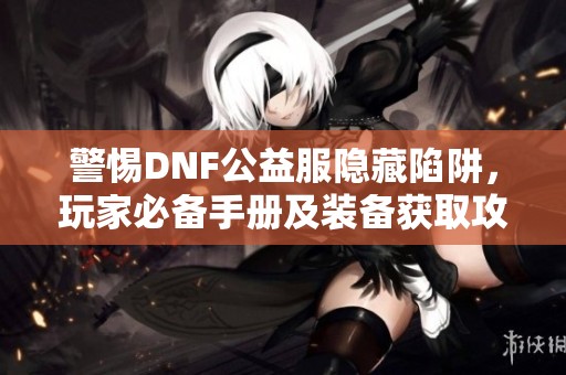 警惕DNF公益服隐藏陷阱，玩家必备手册及装备获取攻略