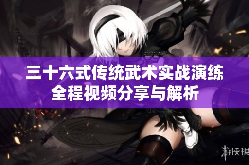 三十六式传统武术实战演练全程视频分享与解析
