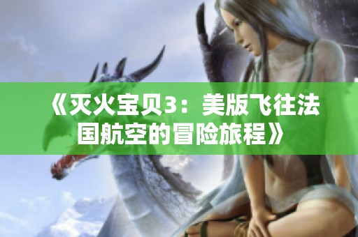《灭火宝贝3：美版飞往法国航空的冒险旅程》