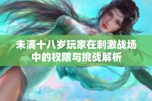 未满十八岁玩家在刺激战场中的权限与挑战解析