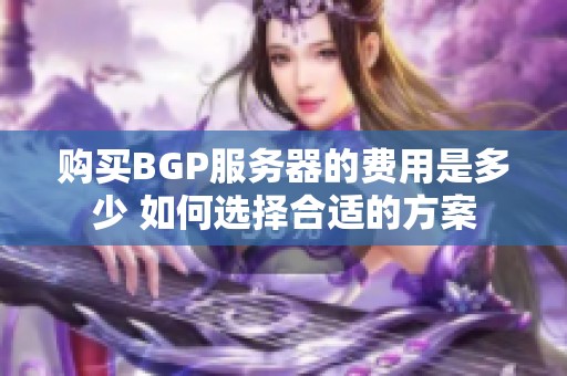 购买BGP服务器的费用是多少 如何选择合适的方案